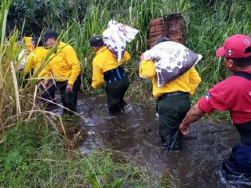 Coloca COPARMEX Centro de Acopio para Tabasco y Chiapas