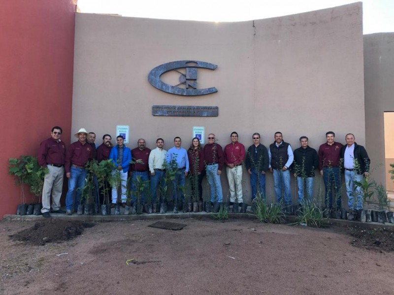 Colocan a agremiados de Colegio de Ingenieros en Gabinete Municipal