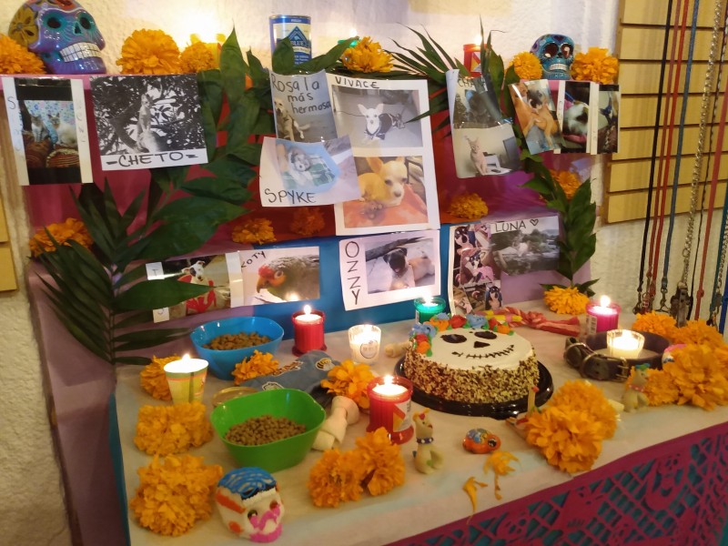 Colocan altar en honor a mascotas que fallecieron