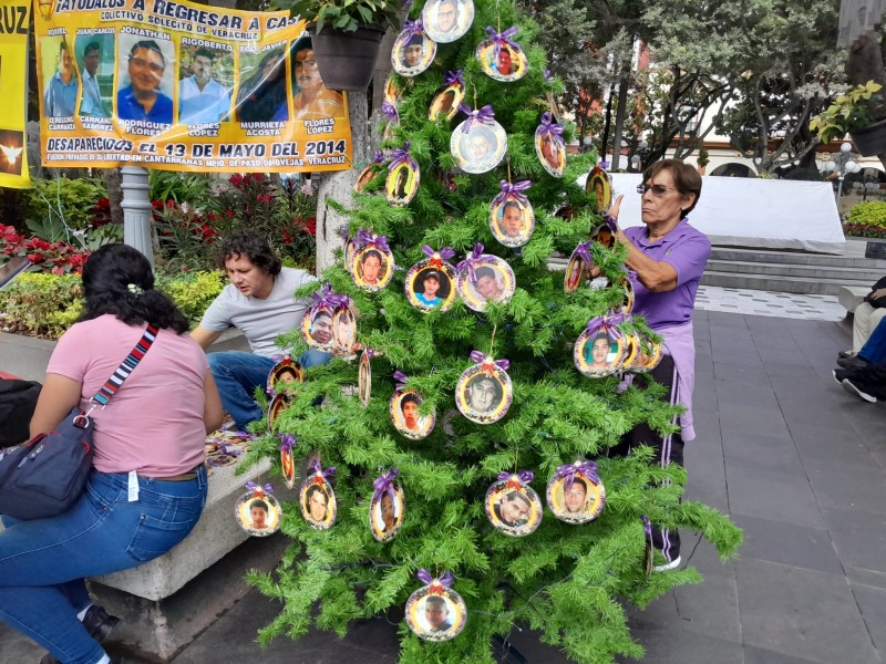 Colocan árbol del dolor en zócalo de Veracruz Colectivo Solecito