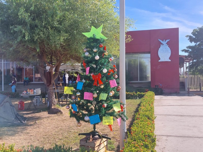 Colocan arbolito de navidad afuera del Hospital de la Mujer,Culiacán