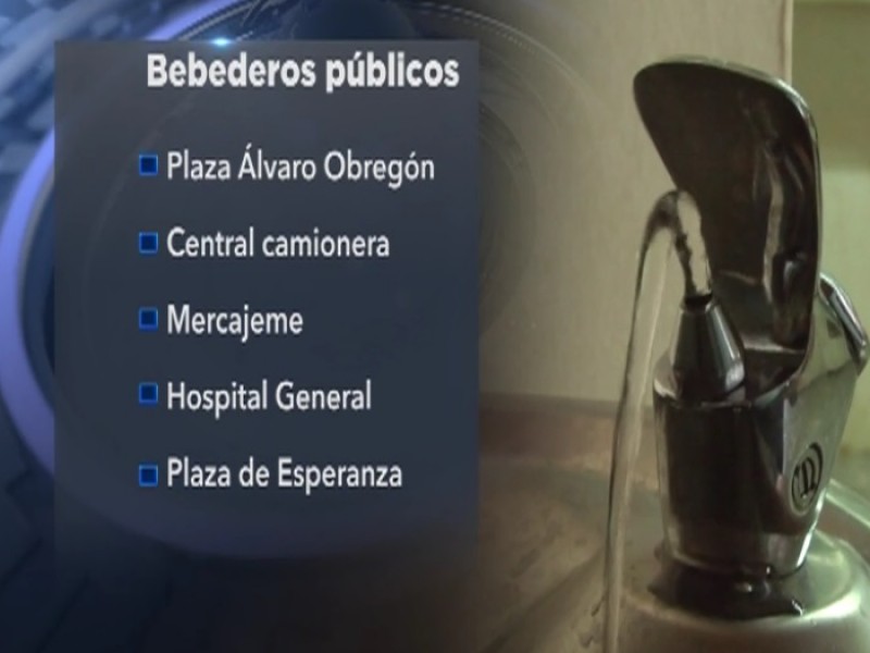 Colocan bebederos en lugares públicos