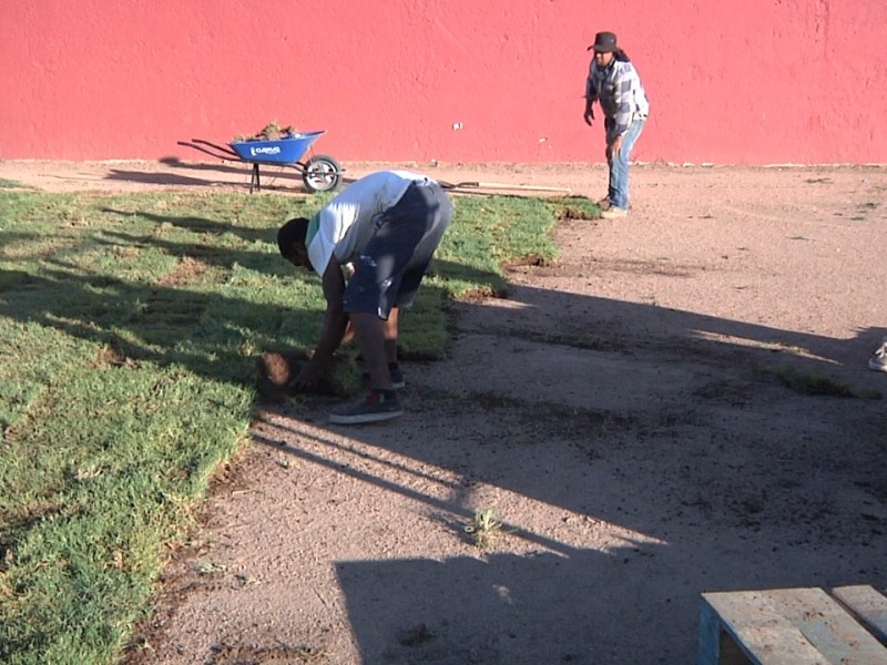 Colocan pasto en Estadio Hoeffer