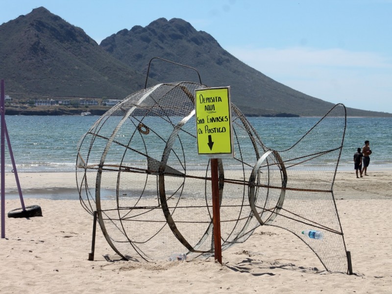 Colocan pez de reciclaje en Miramar