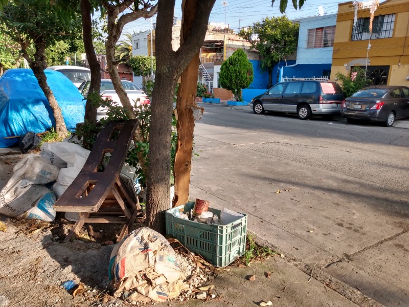 Colonia Belisario Domínguez sin fumigación contra dengue