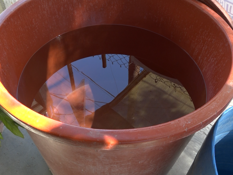 Colonia Guerrero más de 20 días sin agua potable