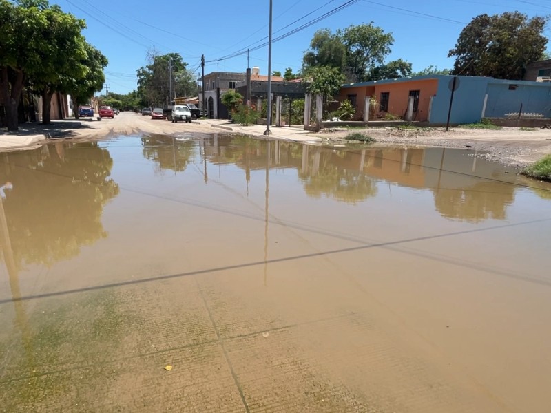 Colonia Lomas del Mar en Guasave, inundada en agua pestilente