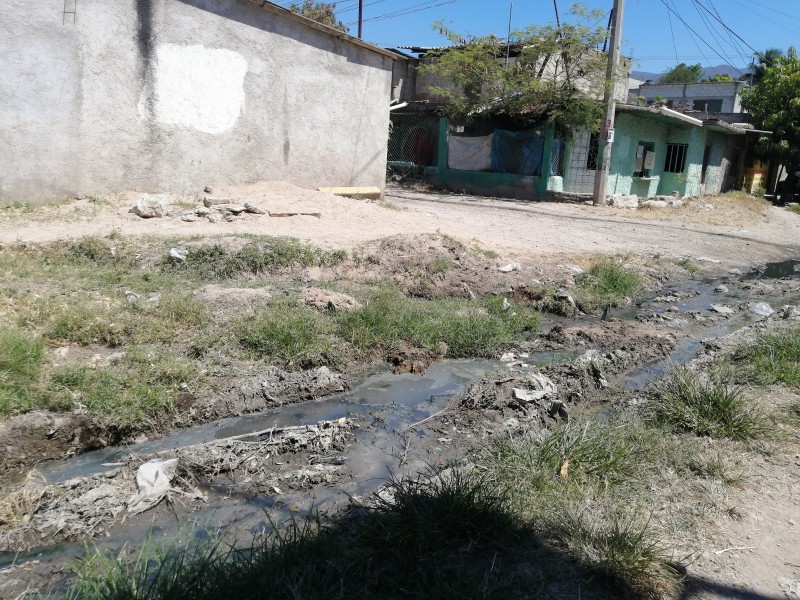 Colonias de Chiapa de Corzo en completo abandono