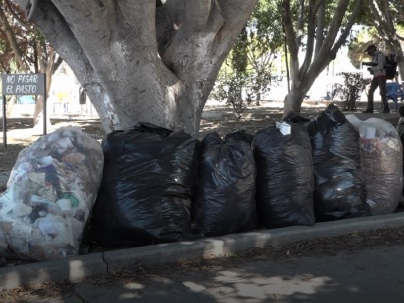 Colonias sin de recolección de basura por hasta dos semanas