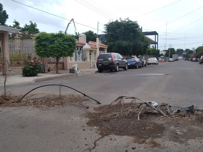 Colonos del Ipis demanda a obras públicas reparar calles