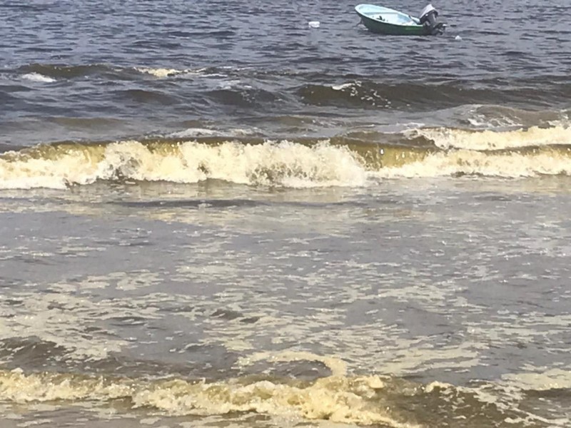 Coloración verde en mar, provoca desconfianza en turistas