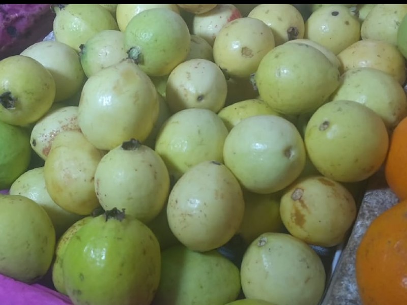 Comala produce 50 cajas de guayaba al día