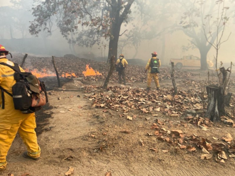 Combate a incendio forestal en Tamazula al 50% de avance