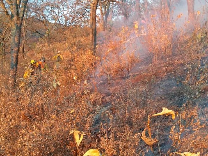 Combate de incendio del cerro viejo continúa