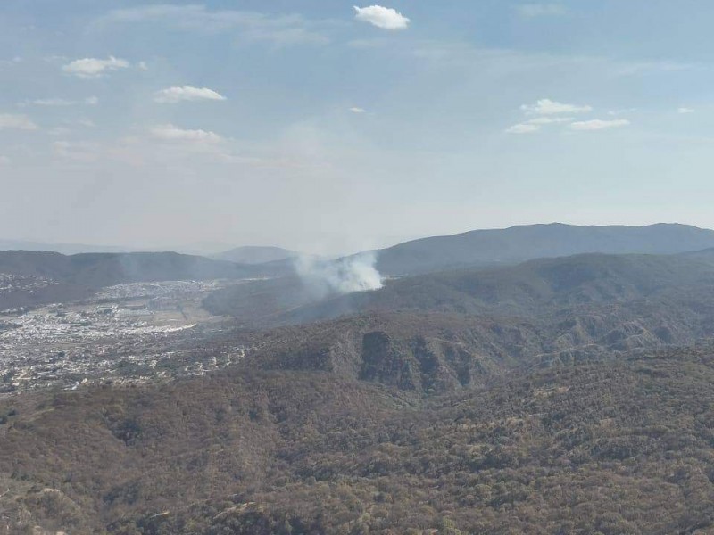 Combaten 41 elementos incendio en la Brecha a San José