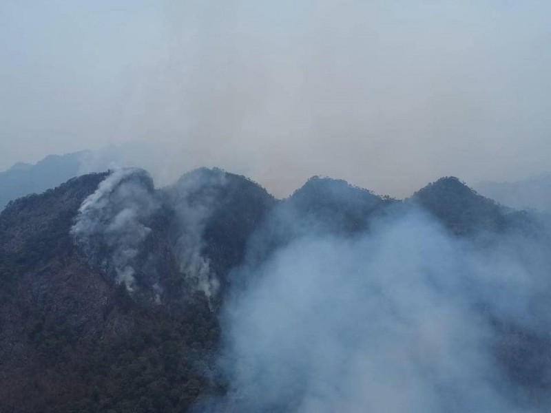 Combaten 852 brigadistas 34 incendios en 20 municipios de Guerrero