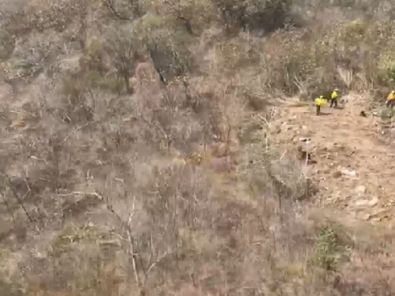 Combaten al 60% incendio del Cañón del Sumidero