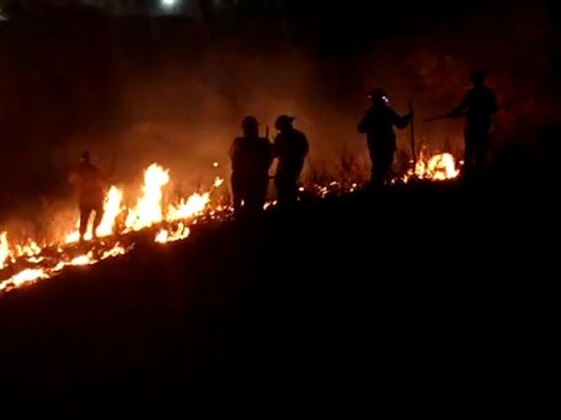 Combaten bomberos fuego generado en cerro al sur de Nogales