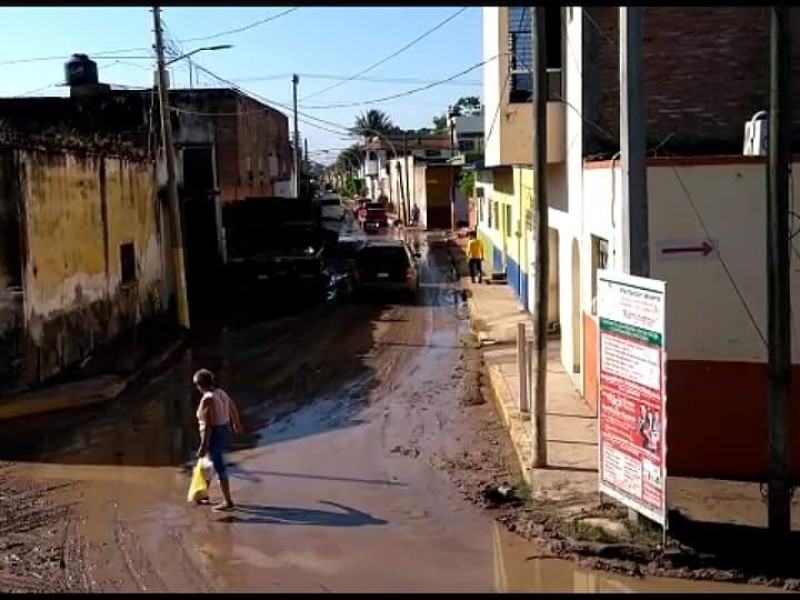 Combaten brotes de micosis en Tuxpan