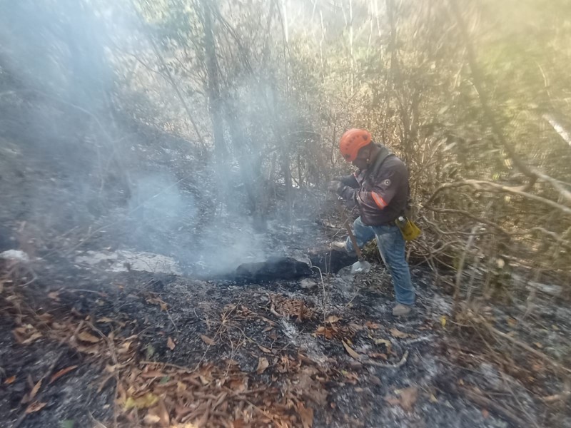 Combaten el 100% incendio en Cerro Mactumatzá