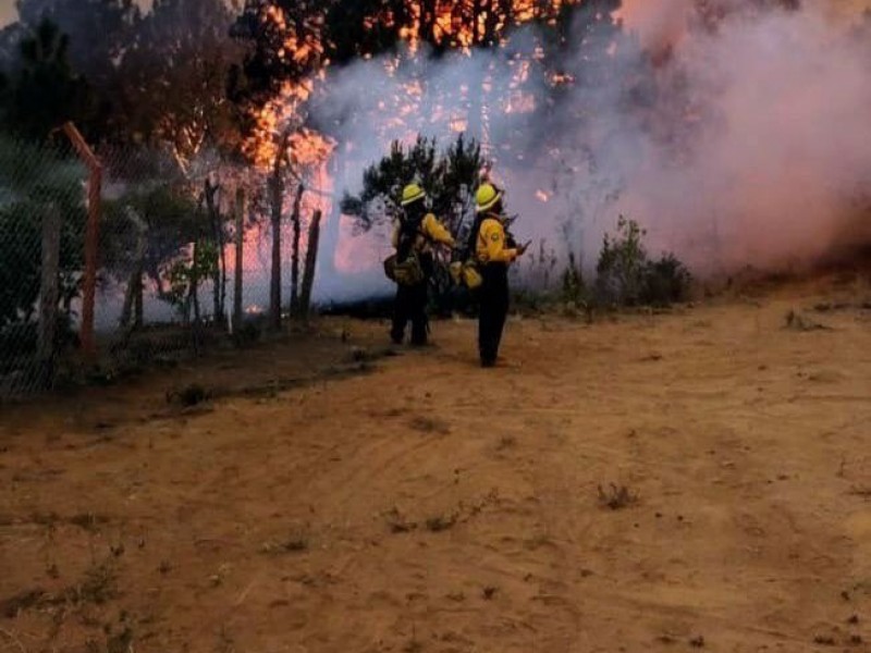 Combaten incendio en Cerro de San Marcos, en Uruapan