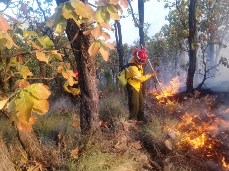 Combaten incendio en La Primavera