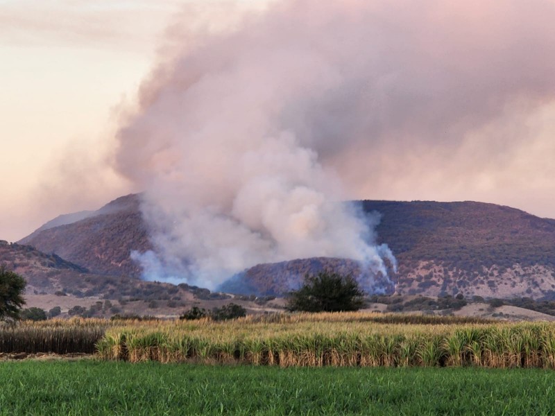 Combaten incendio en La Primavera