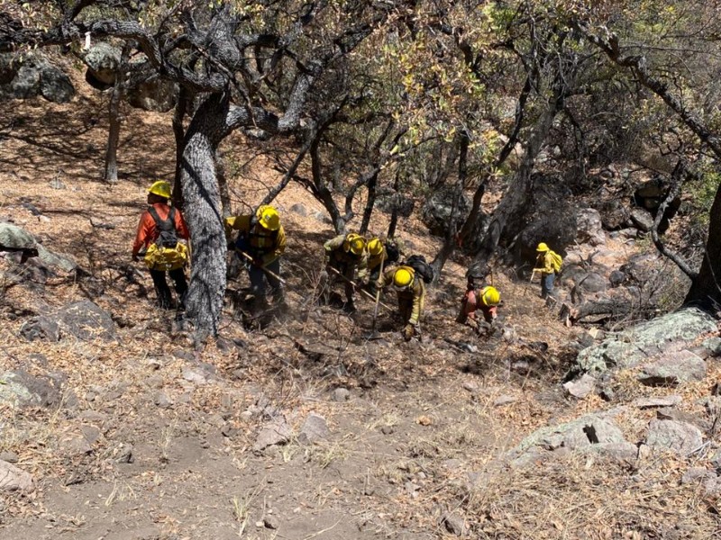 Combaten incendio forestal en Arizpe, único activo en Sonora