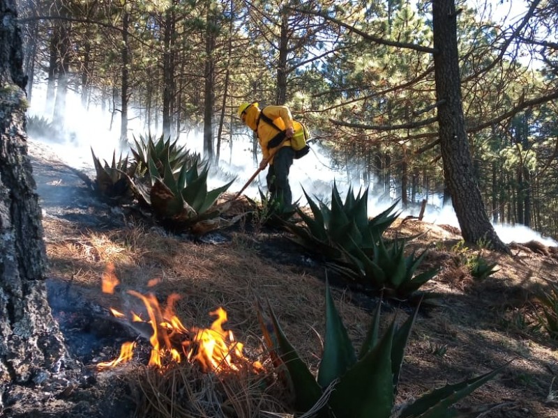 Combaten tres incendios forestales en áreas naturales protegidas de Jalisco