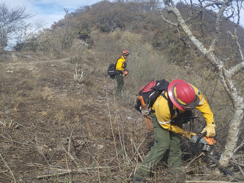 Combaten voraz incendio en cerro de Ixtlahuacán de los Membrillos