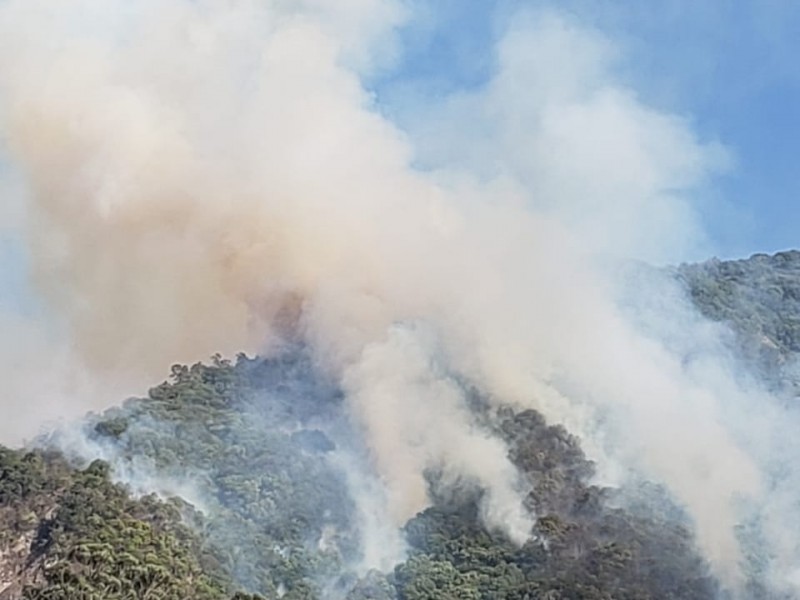 Combatientes controlaron incendio de cerro de San Juan