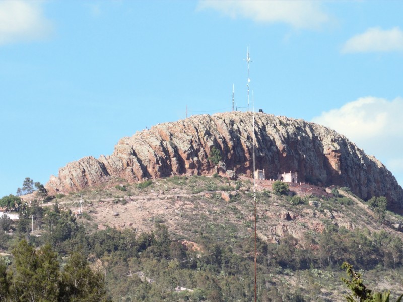 Comenzará la reforestación en el cerro de la bufa