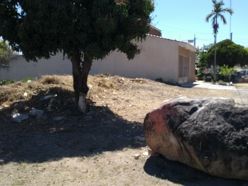 Comenzarán a sancionar por terrenos baldíos descuidados