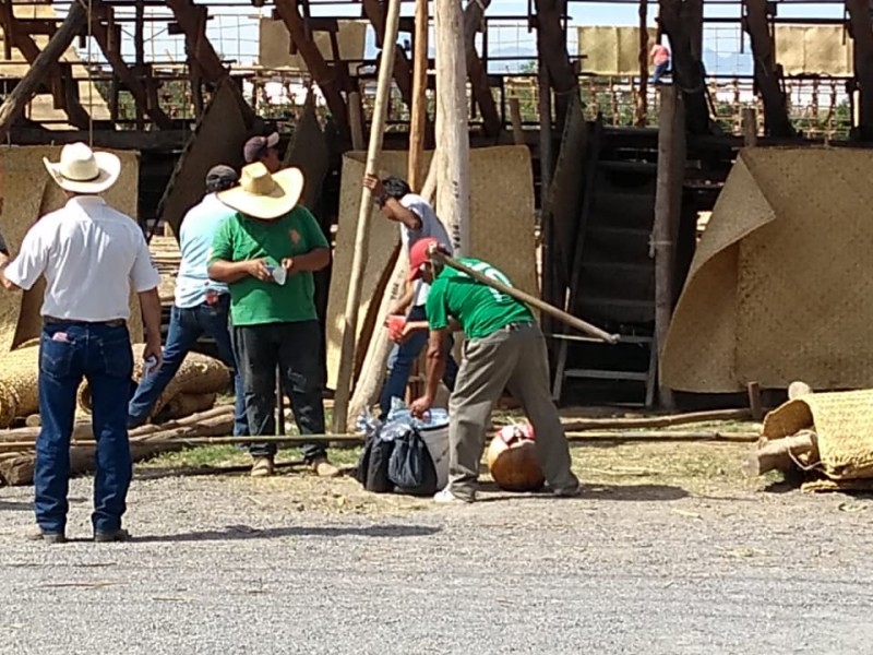 Comenzó a vender tuba casi por accidente