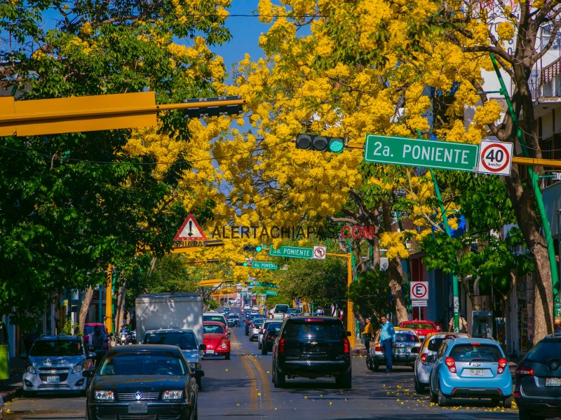 Comenzó la primavera en el hemisferio norte