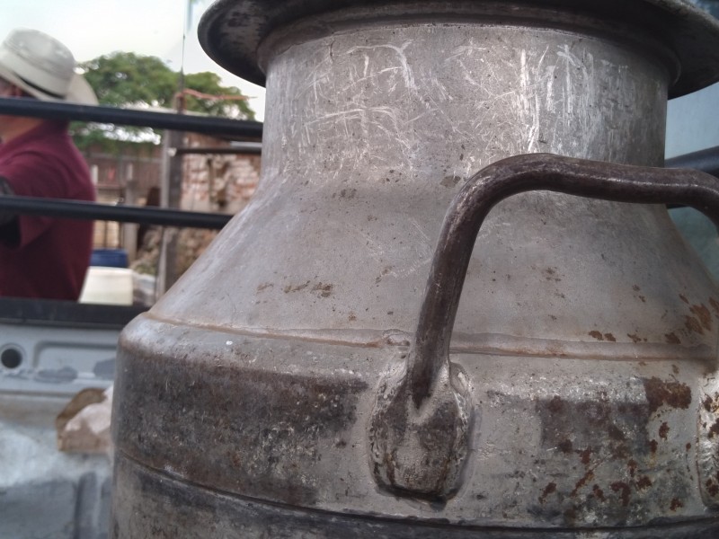 Comercialización de leche en polvo afecta economía de ganaderos