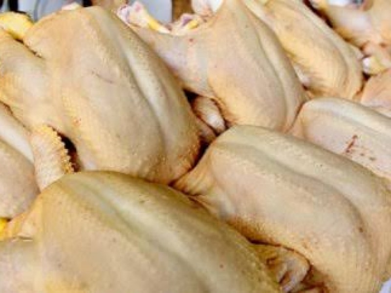 Comerciantes buscan mantener el precio del pollo en Querétaro