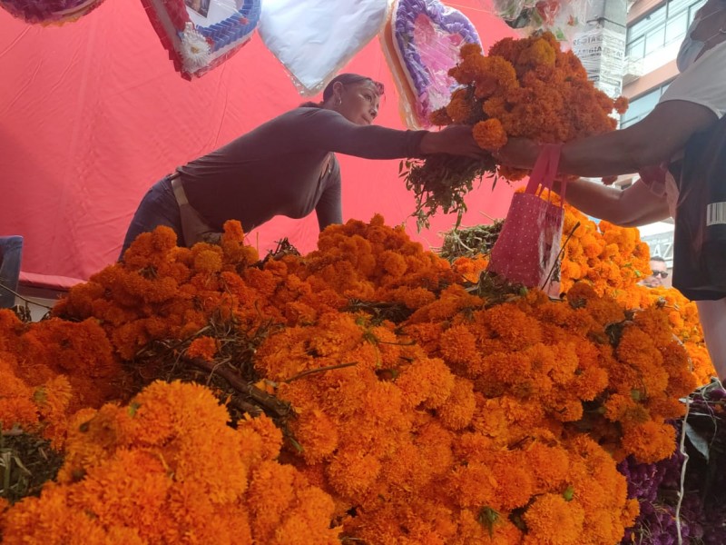 Comerciantes de Flor de Cempasúchil registran ventas favorables