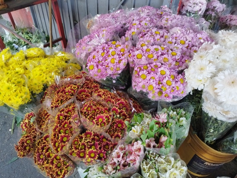 Comerciantes de flores reportan bajas ventas por día de muertos