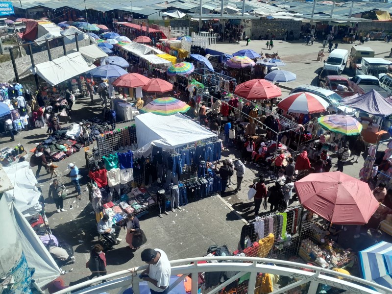 Comerciantes de palmillas reportan bajas ventas, a pesar de ser temporada navideña.