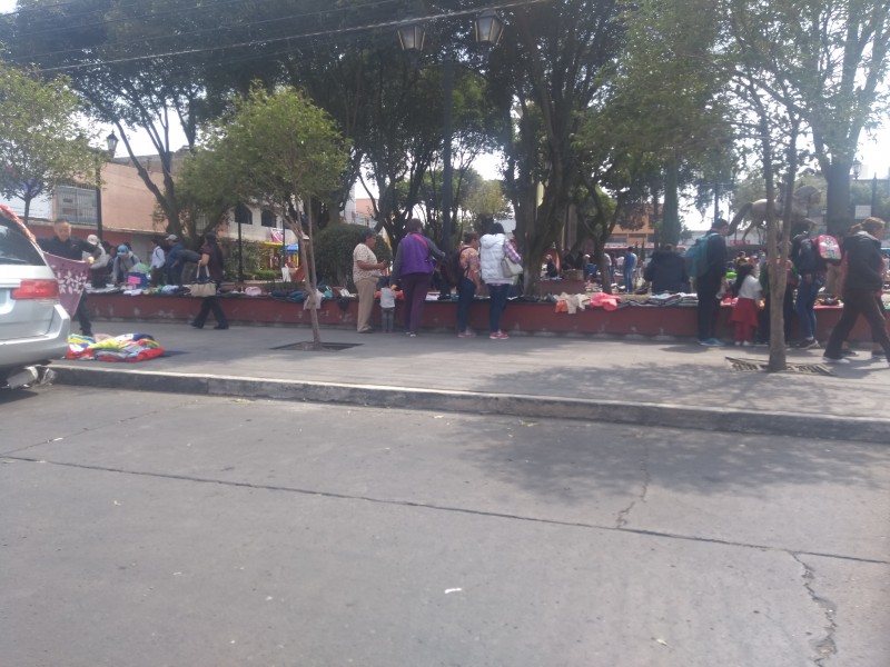 Comercio ambulante invade jardines de Toluca