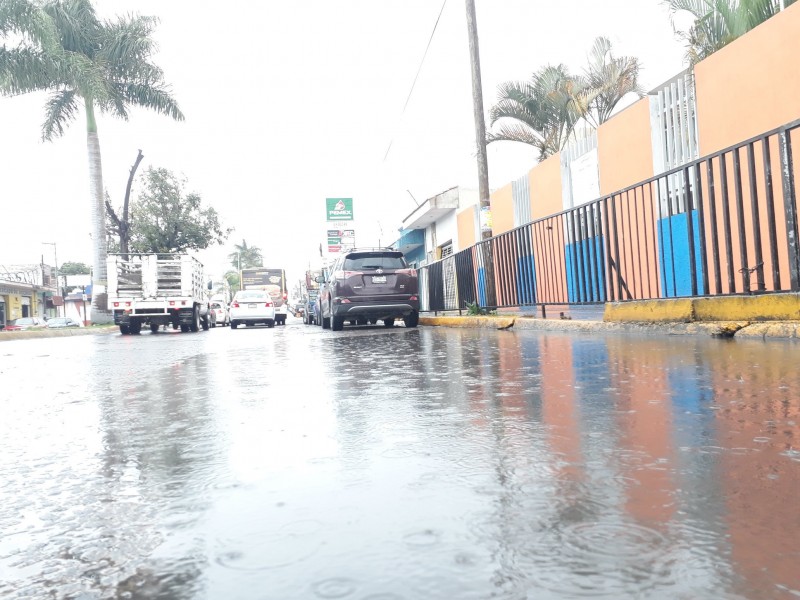 Comercios afectados por estancamiento en Av. México