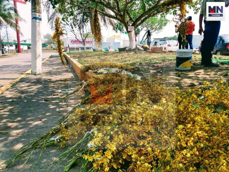 Comercios ataviados del amarillo intenso de la flor Santa Cruz