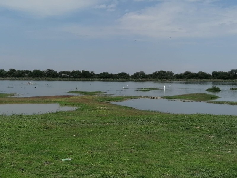 Comienza a llenarse presa Loza de los Padres