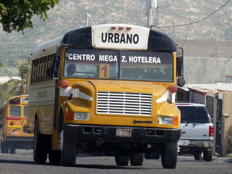 COMIENZA A OPERAR AL 100% EL TRANSPORTE PÚBLICO