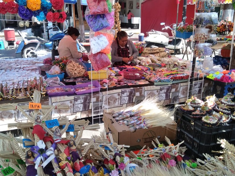 Comienza la venta de palmas en San Cristóbal Huichochitlán