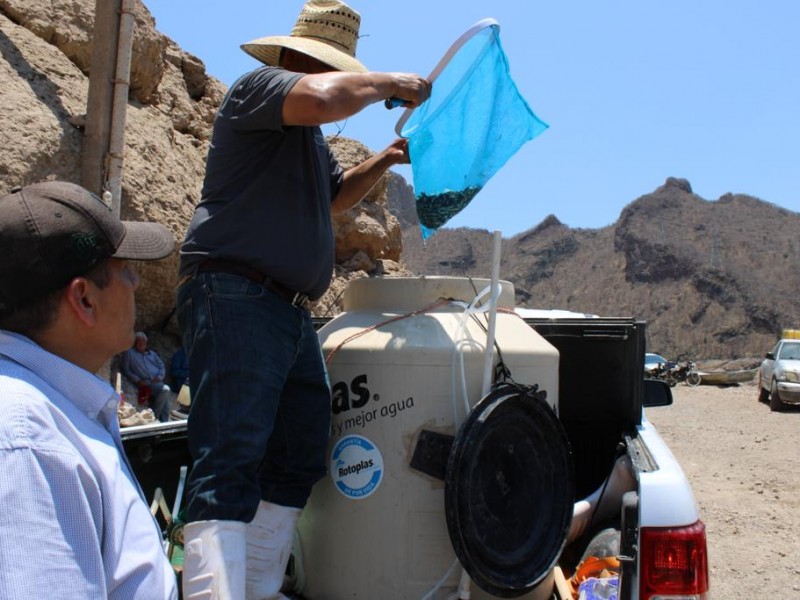 Comienza proceso de recuperación de embalses