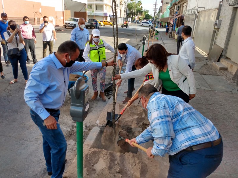Comienza reforestación del Centro Histórico de Torreón