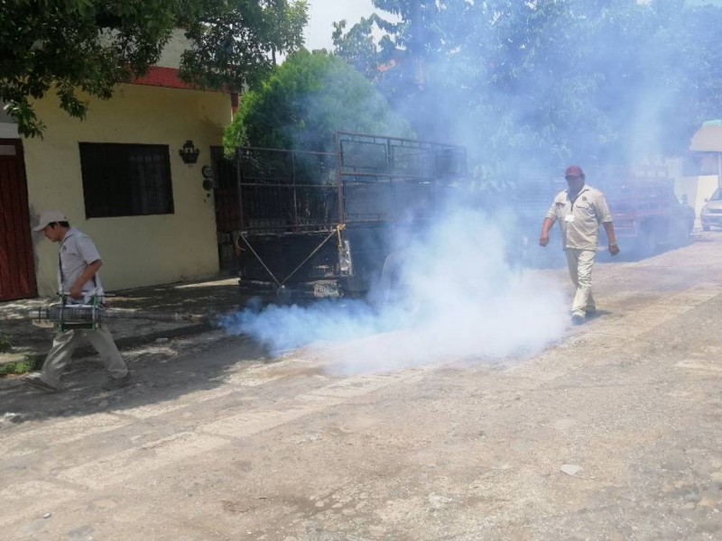 Comienzan operativos contra el dengue