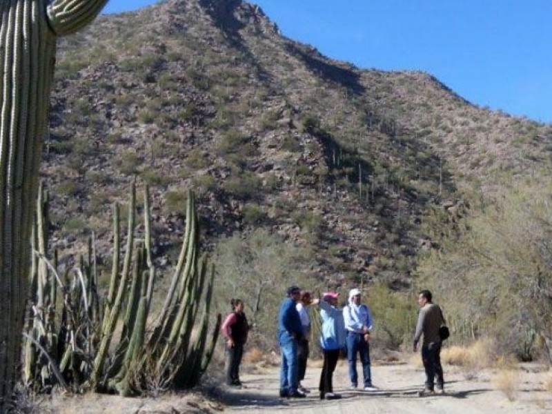 Comienzan rutas guiadas en playas y pueblos de Sonora